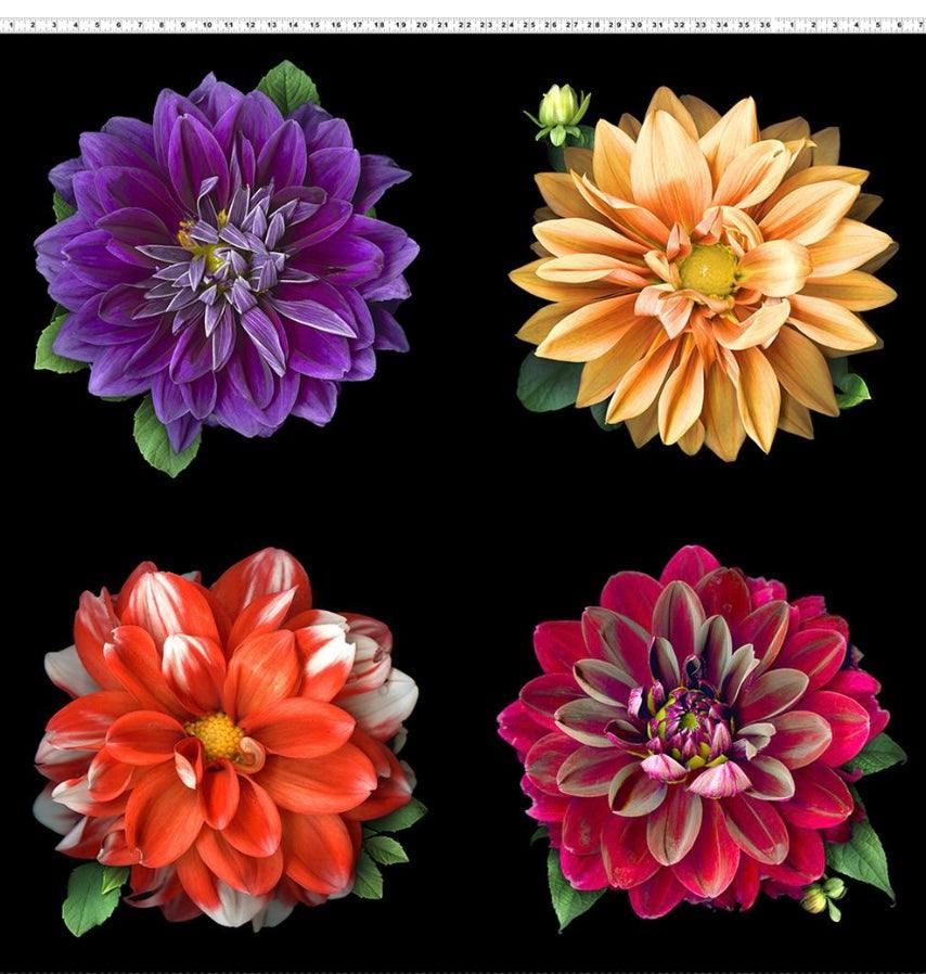Clothworks Textiles Tina's Garden Digital 44" Dahlia Panel Y3674-55 - Sew Much